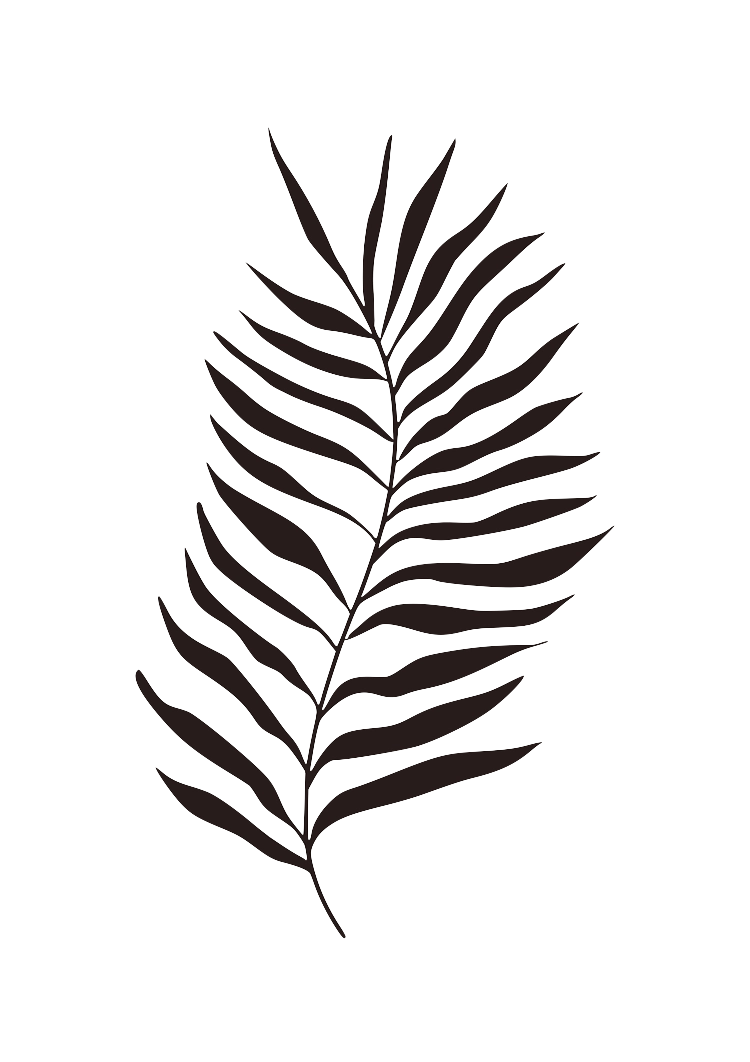 palmleaf